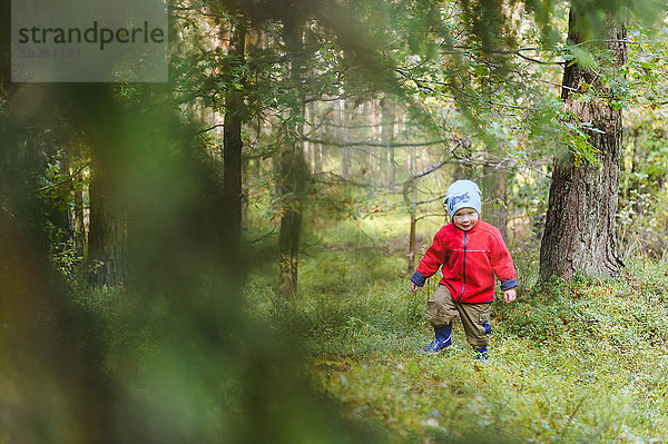 Junge geht im Wald spazieren