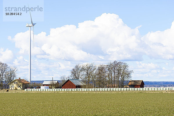Betriebsgebäude und Windkraftanlage