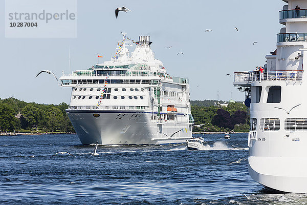 Möwen fliegen über Kreuzfahrtschiffe im Meer  Stockholm  Schweden