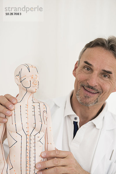 Männlicher Arzt zeigt anatomisches Modell und lächelt  München  Bayern  Deutschland