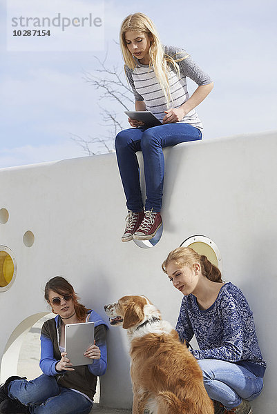 Drei Freunde auf einem Spielplatz mit Hund  München  Bayern  Deutschland