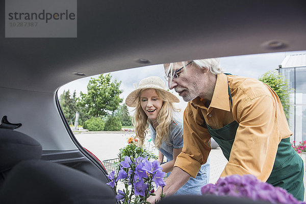 Verkäuferin hilft einem Kunden  Pflanzen in den Kofferraum eines Autos zu legen  Augsburg  Bayern  Deutschland