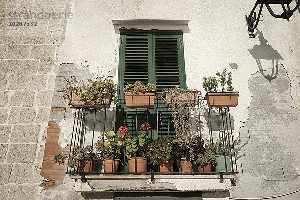 Niedriger Blickwinkel auf einen Balkon mit Blumentöpfen  Monopoli  Apulien  Italien