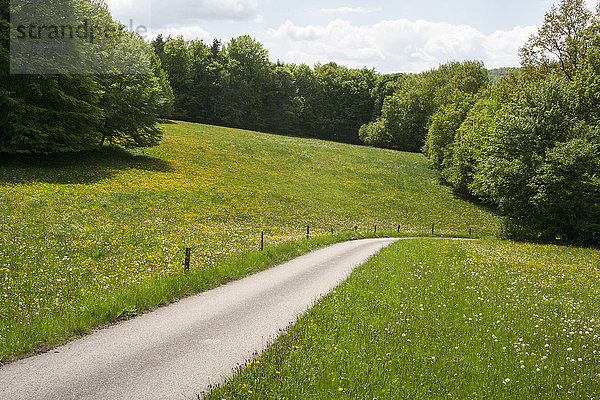 Straße durch eine ländliche Landschaft  Bayern  Deutschland