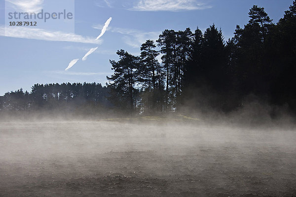 Nebel über Feld mit Wald im Hintergrund  Bayern  Deutschland