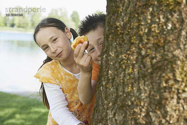 Mädchen lugt mit ihrem Bruder hinter einem Baum hervor und zeigt einen halb gegessenen Apfel  Bayern  Deutschland