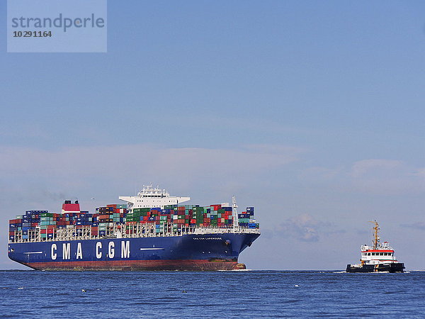 Containerschiff auf der Elbe  nahe Cuxhaven  Niedersachsen  Deutschland  Europa