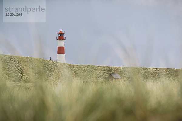 Leuchtturm List Ost  Ellenbogen  Sylt  Schleswig-Holstein  Deutschland  Europa