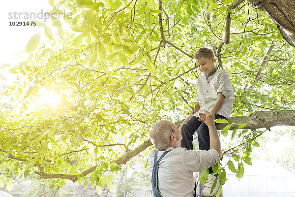 Großvater hilft Enkel auf Baumzweig