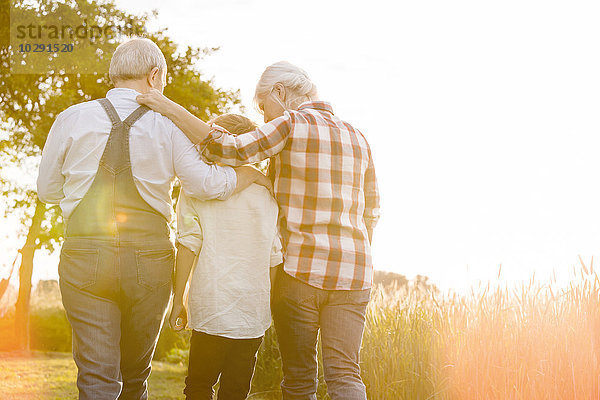 Liebevolle Großeltern und Enkel auf dem sonnigen ländlichen Weizenfeld