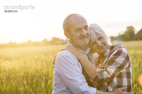 Zärtliches  ruhiges Seniorenpaar im sonnigen ländlichen Weizenfeld