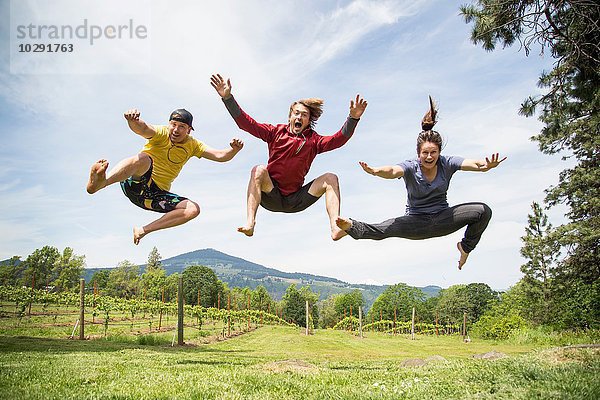 Drei Erwachsene springen in ländlicher Umgebung  mitten in der Luft  lachend