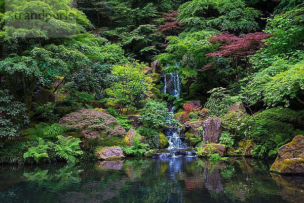 Japanischer Garten  Portland  Oregon  USA