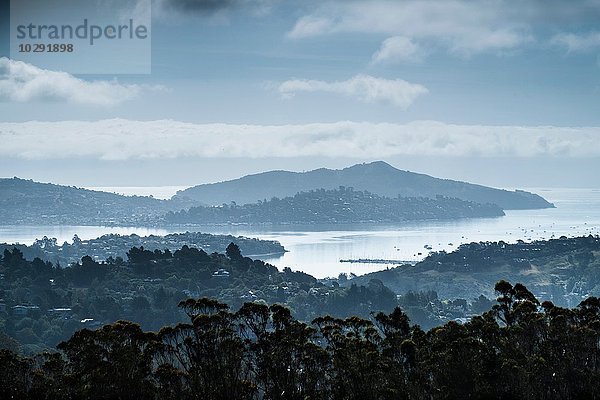 Marin County  Kalifornien  USA