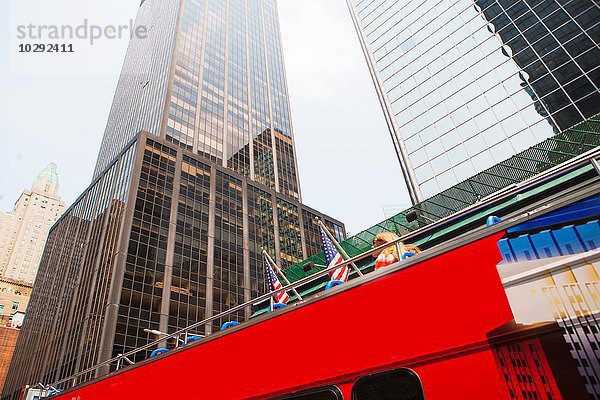 Sightseeing-Bus mit Bürogebäuden  Tiefblick  New York  USA