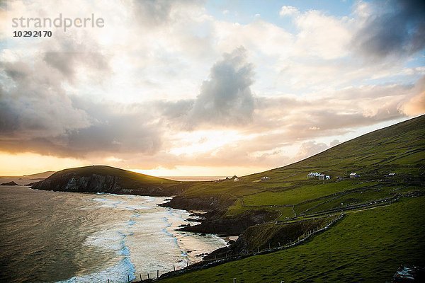 Klippen bei Sonnenuntergang  Dunquin  Kerry  Irland