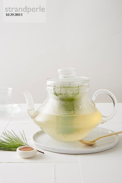 Stillleben von immergrünem Tee (Pinientee) mit Bio-Honig