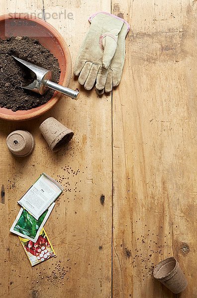 Stillleben von Gartenhandschuhen  Pflanztöpfen und Pflanzensamen