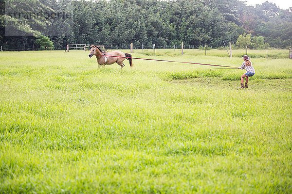 Reife Frau  die ihr Pferd auf dem Feld trainiert.