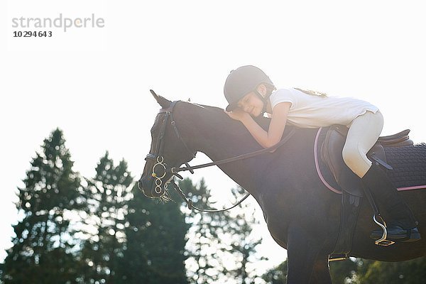 Mädchen auf dem Rücken eines Pferdes  das sich nach vorne lehnt  um ein Haustier zu halten.