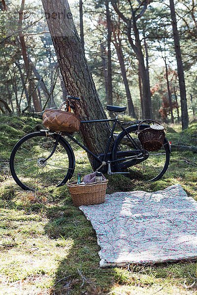 Fahrrad mit Futterkörben und Decke auf dem Waldboden