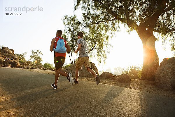 Zwei männliche Freunde beim Laufen  im Freien  Rückansicht