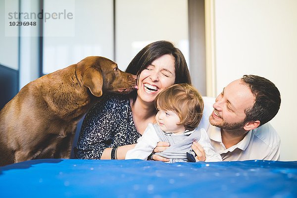 Mittleres erwachsenes Paar lacht mit Kleinkind-Tochter und Haushund