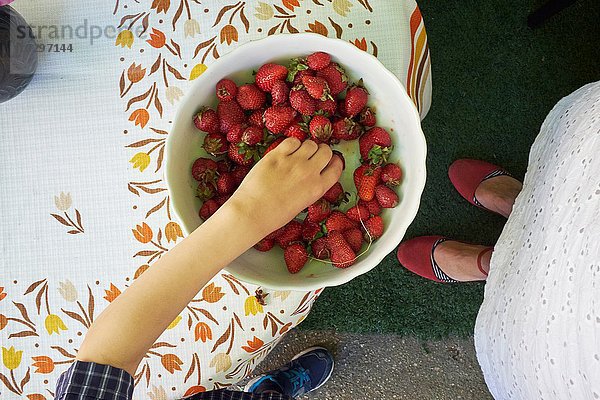 Draufsicht auf die Hand der Jungen  die frische Erdbeeren aus der Schüssel aufheben