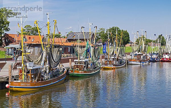 Krabbenkutter im Hafen von Greetsiel  die größte Kutterflotte Ostfrieslands  Greetsiel  Ostfriesland  Niedersachsen  Deutschland  Europa