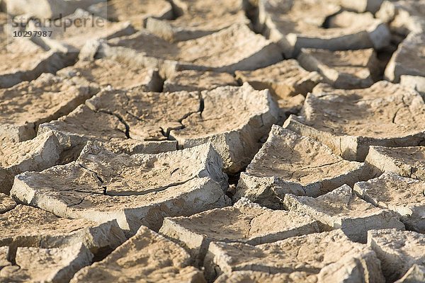 Trockenrisse im Schlamm eines Überschwemmungsgebiets  Trockenzeit  Djoudj-Nationalpark  Senegal  Afrika