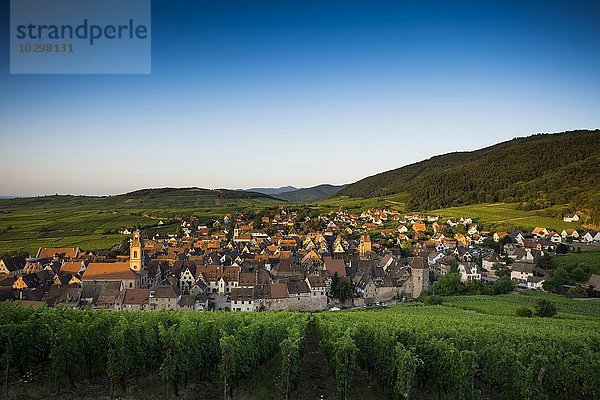 Dorf und Weinberge bei Sonnenaufgang  Riquewihr  Elsass  Frankreich  Europa