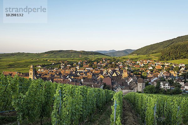 Dorf und Weinberge bei Sonnenaufgang  Riquewihr  Elsass  Frankreich  Europa