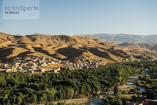 Ausblick auf Kleinstadt Boumalne-du-Dades  Oase mit Dattelpalmen  Dades-Tal  Marokko  Afrika