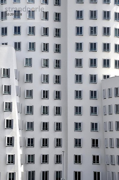 Hochhausfassade  vielen Fenster  Gehry Bauten im Medienhafen  Düsseldorf  Nordrhein-Westfalen  Deutschland  Europa