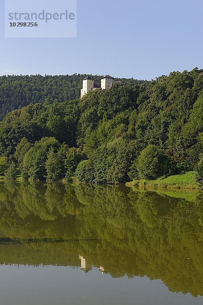 Burg Lockenhaus mit Burgsee  Günser Gebirge  Bezirk Oberpullendorf  Mittelburgenland  Burgenland  Österreich  Europa