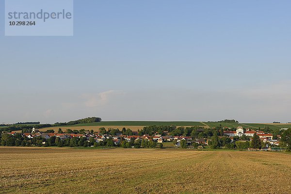 Nebersdorf mit Schloss im Herbst  Nebersdorf  Burgenland  Österreich  Europa