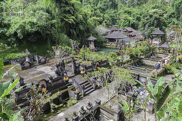 Heilige Quellen am Pura Gunung Kawi Sebatu Tempel  Bali  Indonesien  Asien