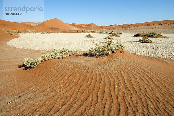 Sanddünen in der Namib-Wüste  Namib-Naukluft-Park  Sossusvlei  Namibia  Afrika