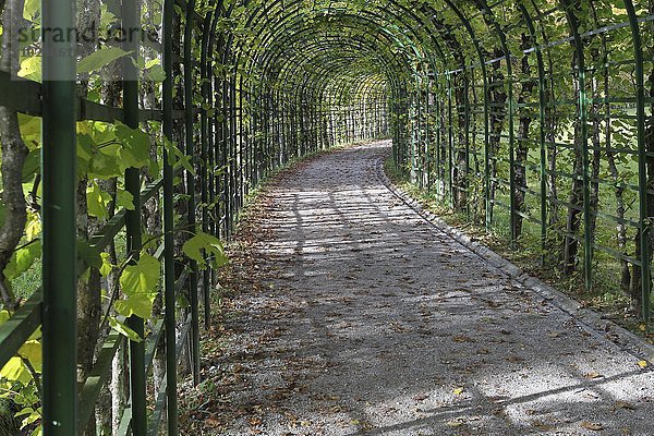 Schloss Linderhof  Laubengang  Oberbayern  Bayern  Deutschland  Europa