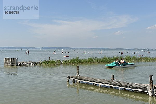 Badegäste im Wasser  Strandbad  Podersdorf  Neusiedler See  Burgenland  Österreich  Europa
