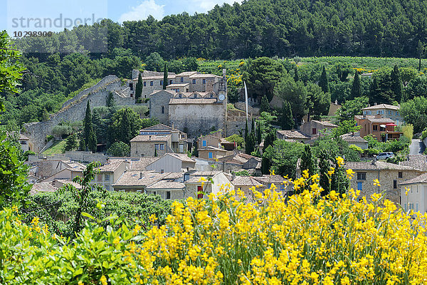 Ausblick auf das Dorf Gigondas  Vaucluse  Provence Alpes Cote d'Azur  Frankreich  Europa