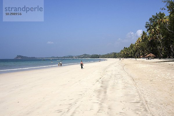 Strand  Meer und Palmen in Ngapali-Beach  Thandwe  Rakhine-Staat  Myanmar  Asien