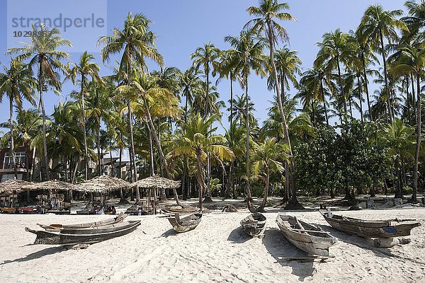 Strand mit alten Fischerbooten und Sonnenschirmen unter Palmen in Ngapali-Beach  Thandwe  Rakhine-Staat  Myanmar  Asien