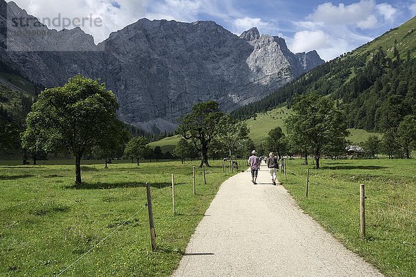 Weg durch den Ahornboden zum Almdorf Eng  Eng Alm  hinten die Laliderer Wände  Karwendel  Tirol  Österreich  Europa
