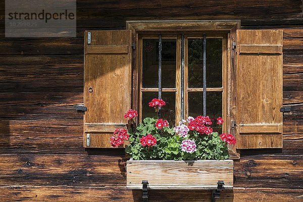 Geranien an einem Fenster eines Bauernhauses  Almhauses  Almdorf Eng  Eng-Alm  Karwendel  Tirol  Österreich  Europa