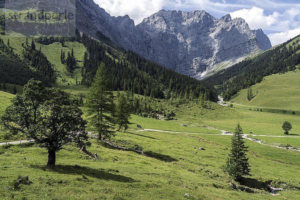 Tal beim Almdorf Eng  Eng Alm  hinten Laliderer Wände  Karwendel  Tirol  Österreich  Europa