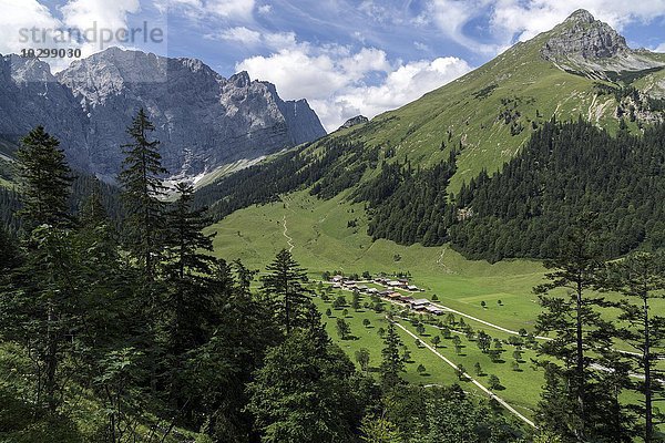 Ausblick auf das Almdorf Eng  Eng Alm  hinten links Laliderer Wände  Karwendel  Tirol  Österreich  Europa