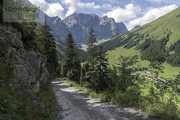 Wanderweg  hinten die Laliderer Wände  unten rechts das Almdorf Eng  Eng Alm  Karwendel  Tirol  Österreich  Europa
