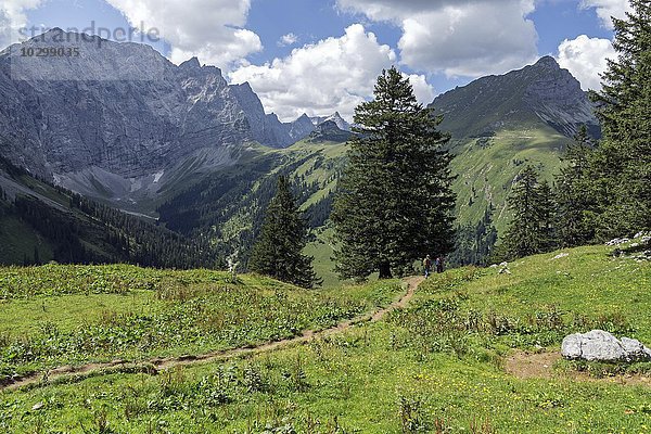 Ausblick zur Binsalm auf die Laliderer Wände  Karwendel  Tirol  Österreich  Europa