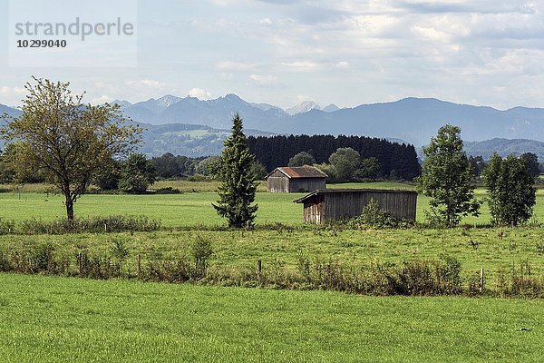 Ausblick auf das Benediktbeurer Moos oder Moor  Benediktbeuern  Oberbayern  Bayern  Deutschland  Europa